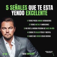 cinco senales excelencia.jpg